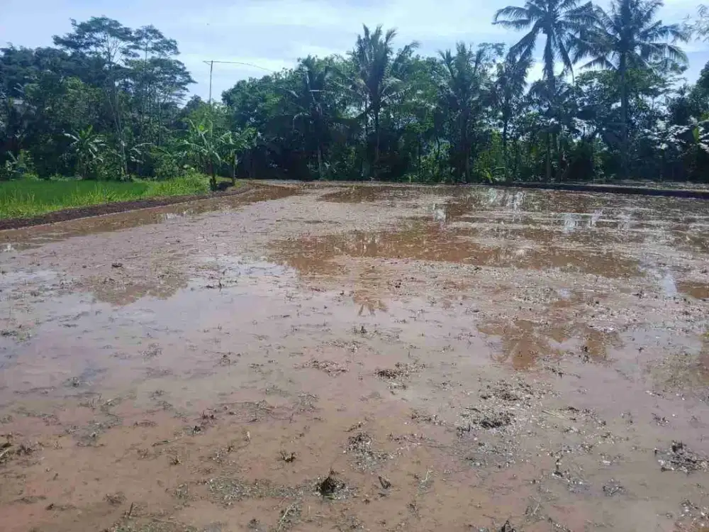 Tanah sawah 1,5 km ke pintu tol sumedang kota