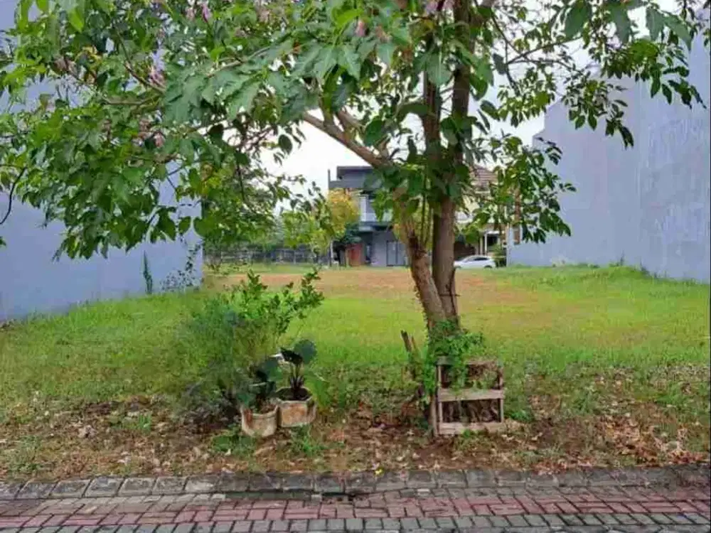 JUAL TANAH PAKUWON INDAH LISBON LUAS 250 JEJER BISA BELI 1 MURAH BAGUS SELATAN