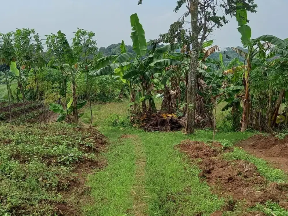 Tanah Kavling Kosong Luas Lokasi Balaraja Tangerang Siap Dibangun