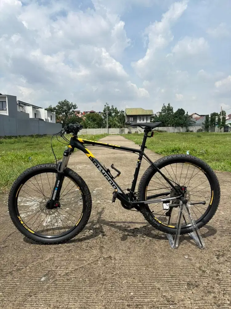 Polygon Premier 5 2025