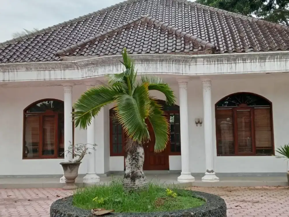For Sale Rumah Style Klasik Eropa – Glagah, Banyuwangi