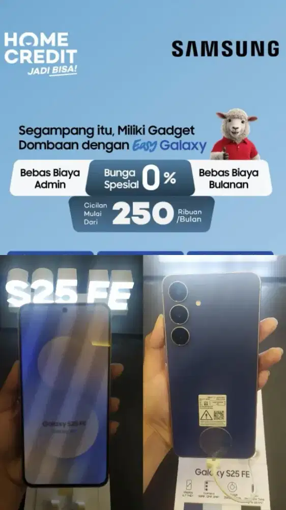 Samsung Galaxy S25 FE