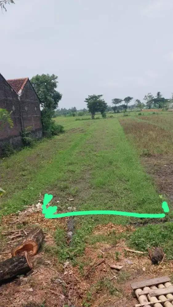 Di Jual Sawah pinggir jalan raya