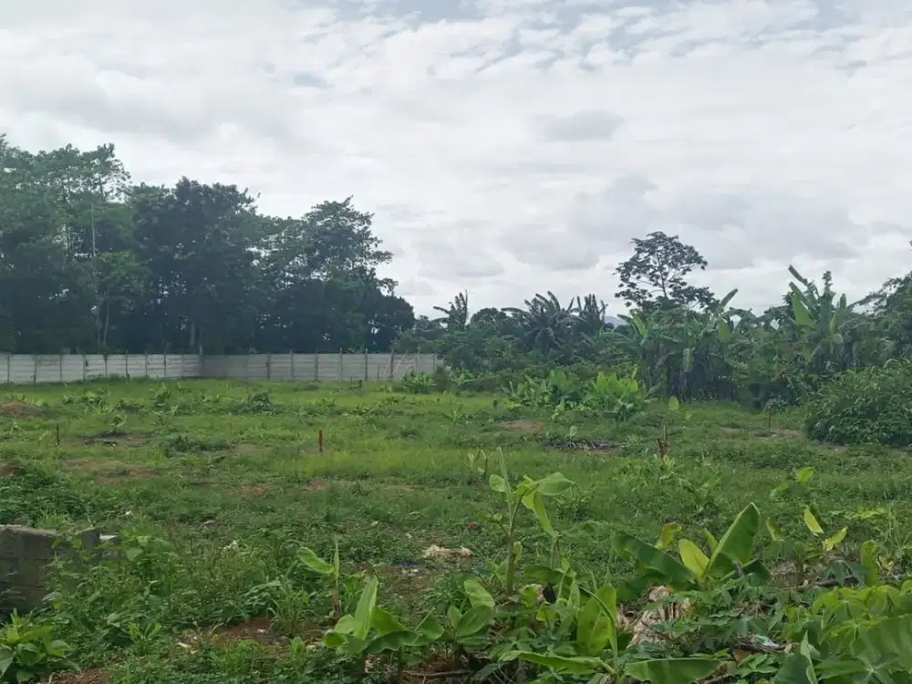 Dekat Stasiun Jatake Dijual Murah 1 Jutaan Permeter Tanah Kavlng SHM