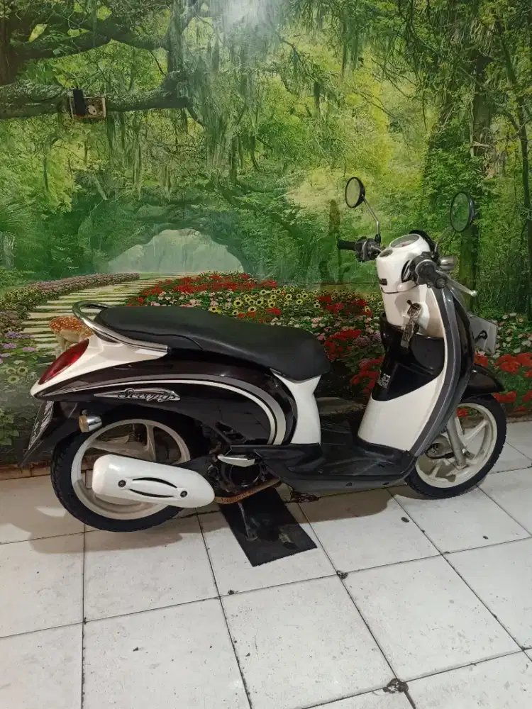 Honda Scoopy th 2011 original istimewa gress