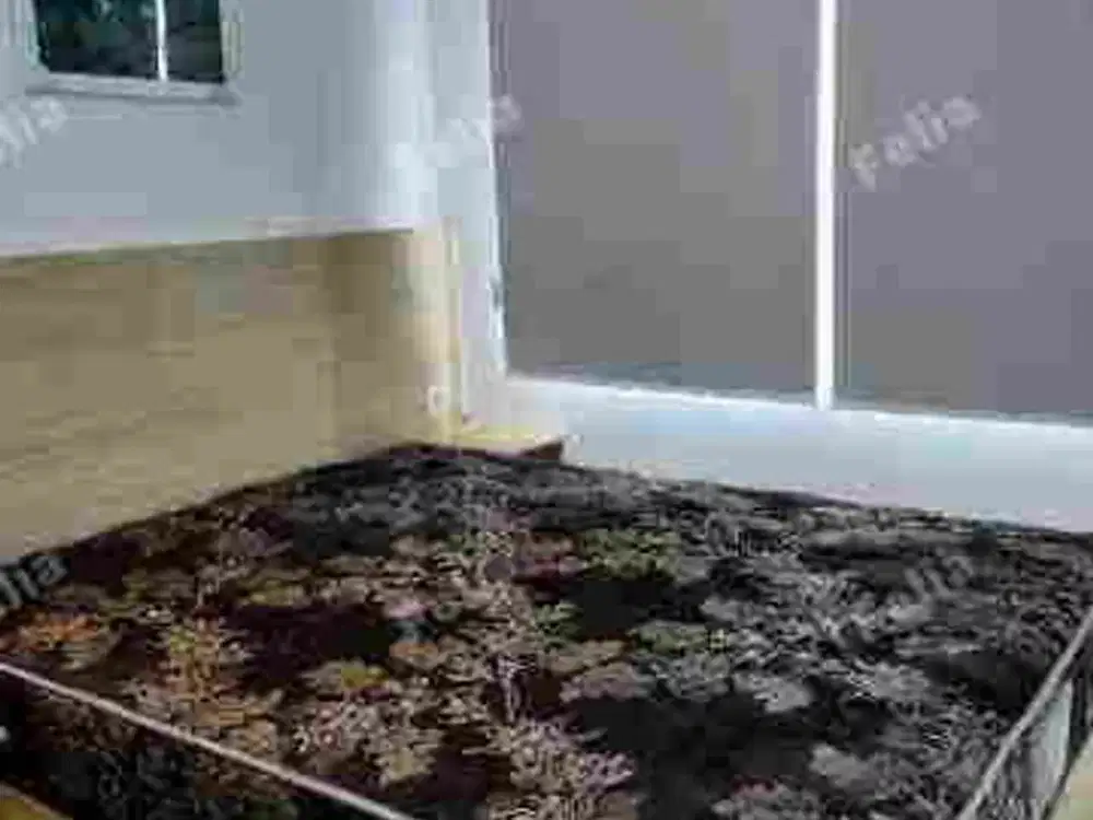 1BR bukan studio‼️Apartemen klaska nego sampai deal