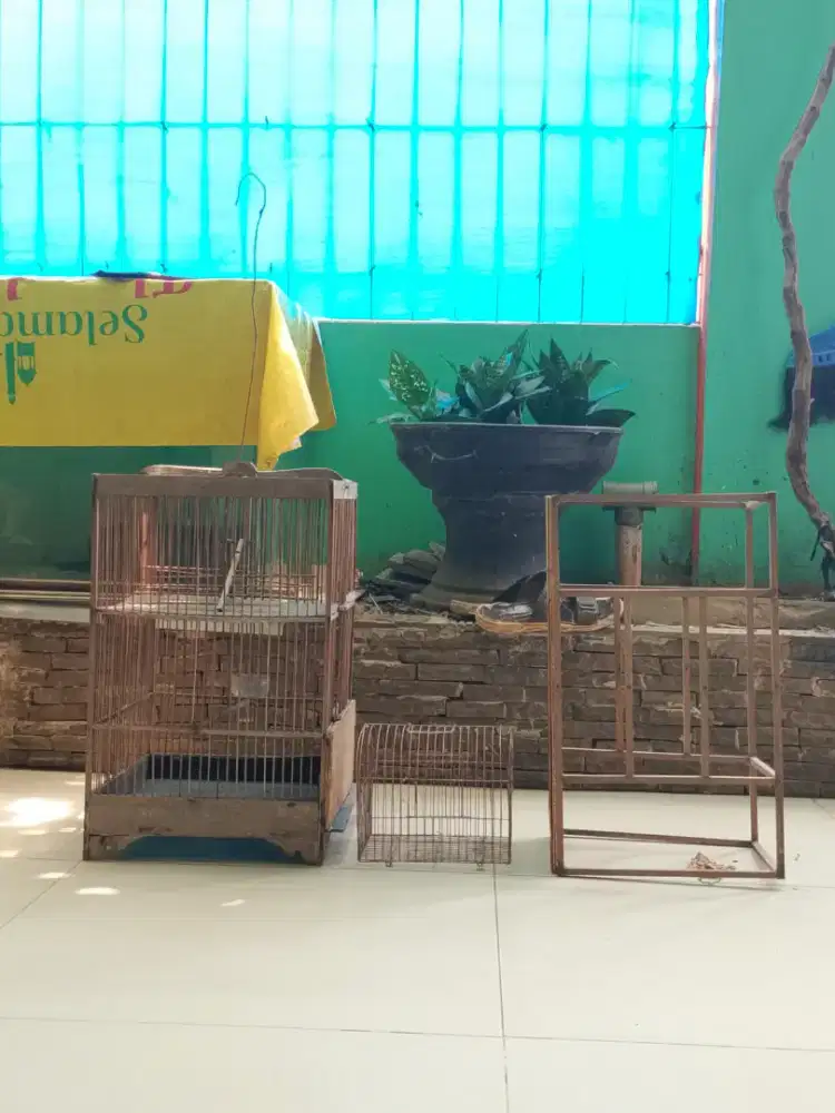 Kandang borongan termurah