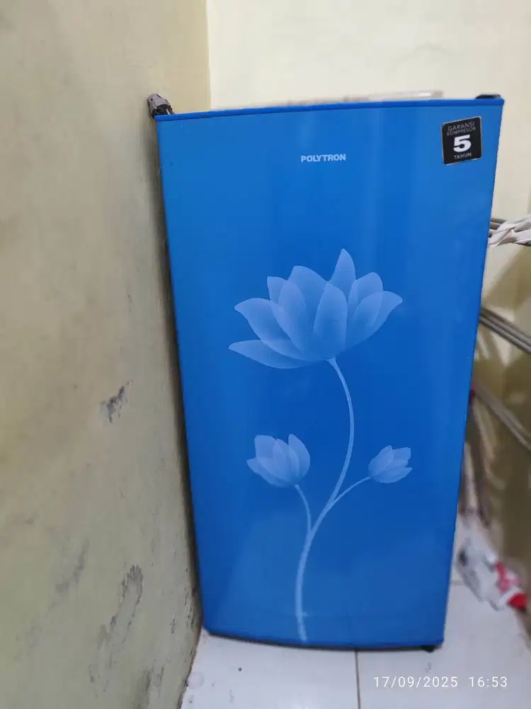 Kulkas Murah 1 Pintu