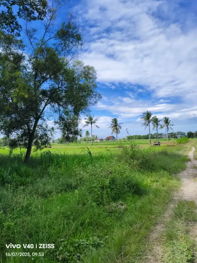 Jual Murah Tanah Lampung Selatan