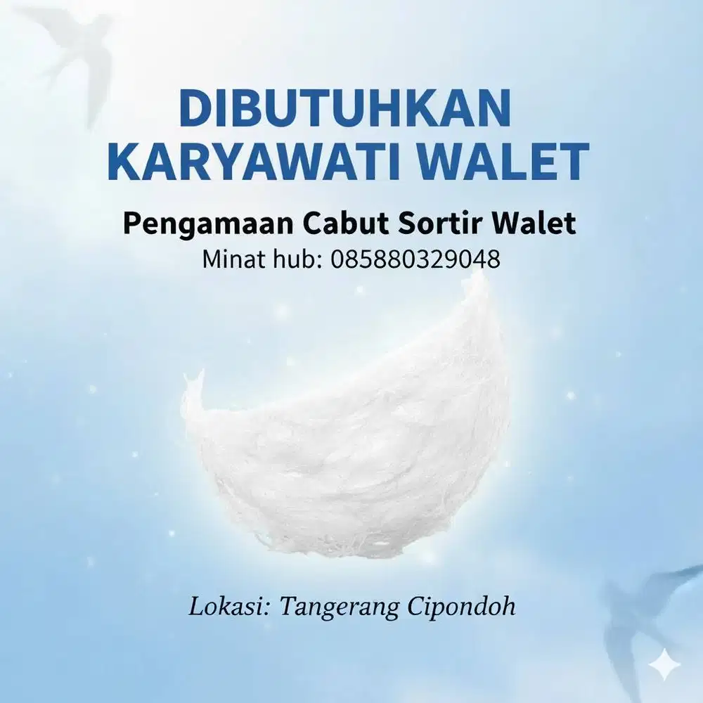 LOWONGAN KERJA SARANG BURUNG WALET