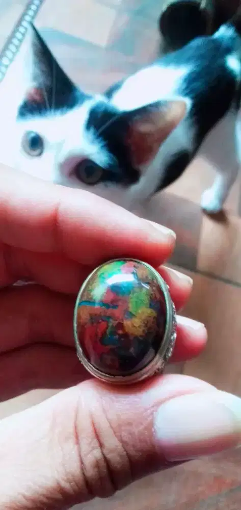 Pancawarna Garut multi warna