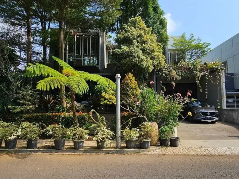 Dijual Rumah Cantik Natural Vibes Full Furnished dengan Kualitas Premium di Jl. Veteran, Klojen Malang