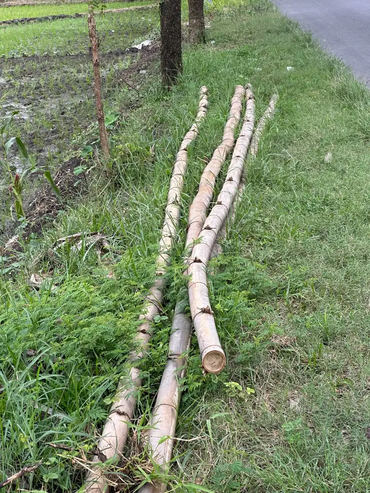 bambu untuk kontruksi