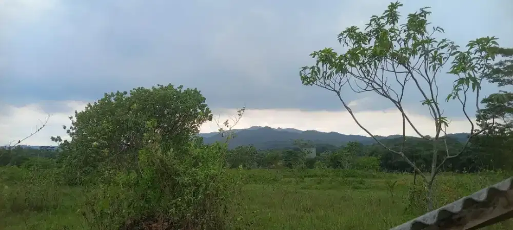 Di jual tanah kavling ready unit