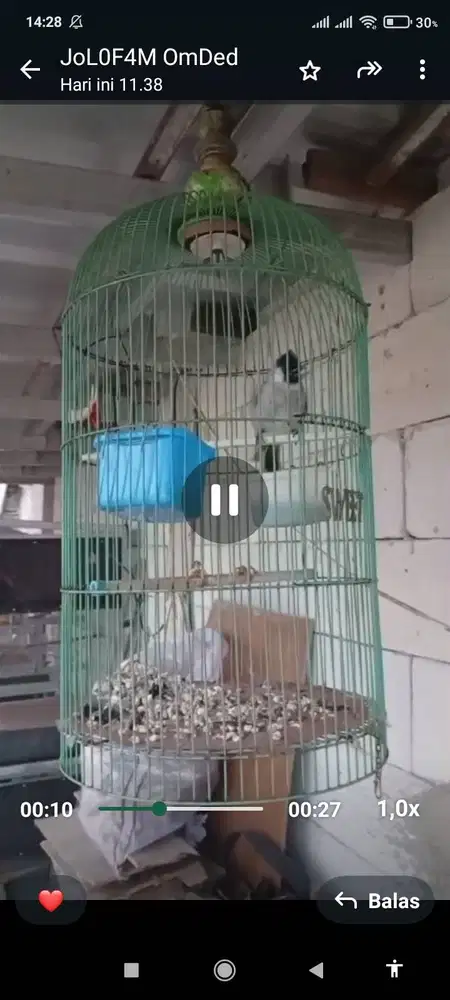 Kutilang Materi Kenarian