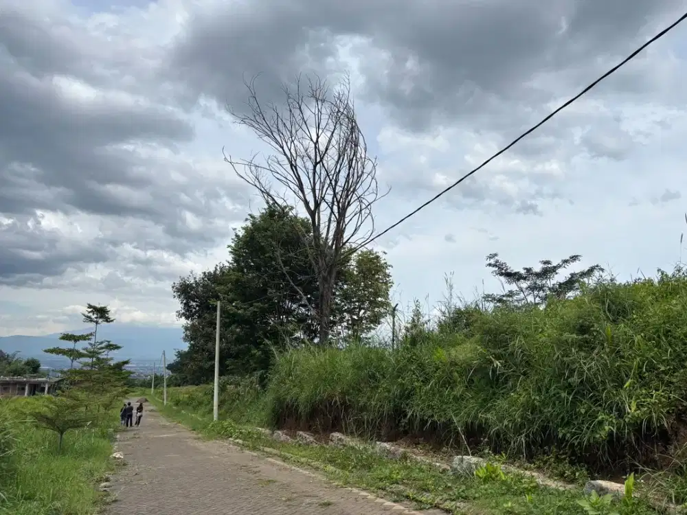 Jual Tanah Samping Kampus UIN Kedokteran Malang