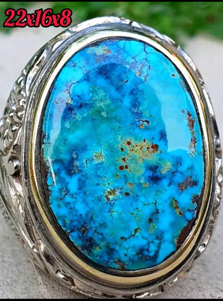 Pirus Persia Biru Tosca