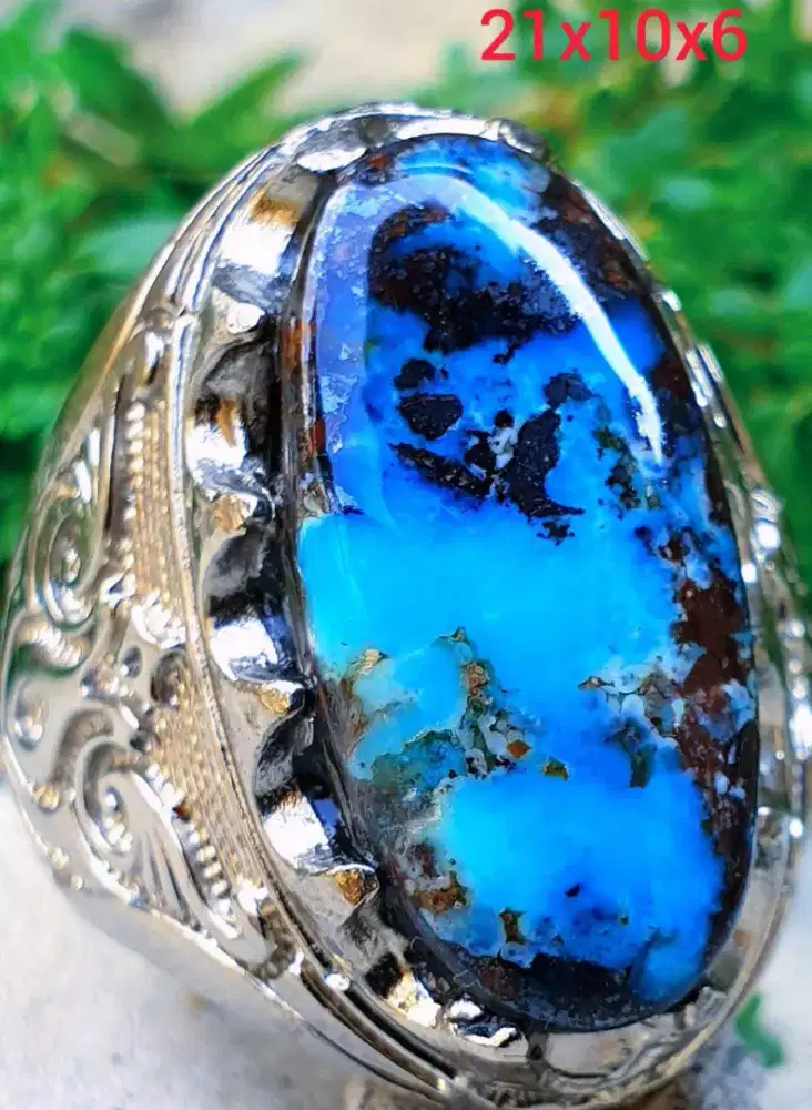 Pirus Persia warna semi Biru Fancy.