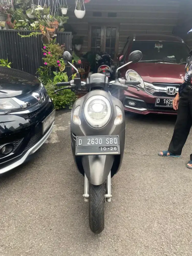 Honda Scoopy Stylish 110