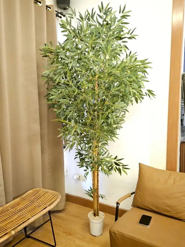 Pohon Bamboo 2m + tipe lebat premium