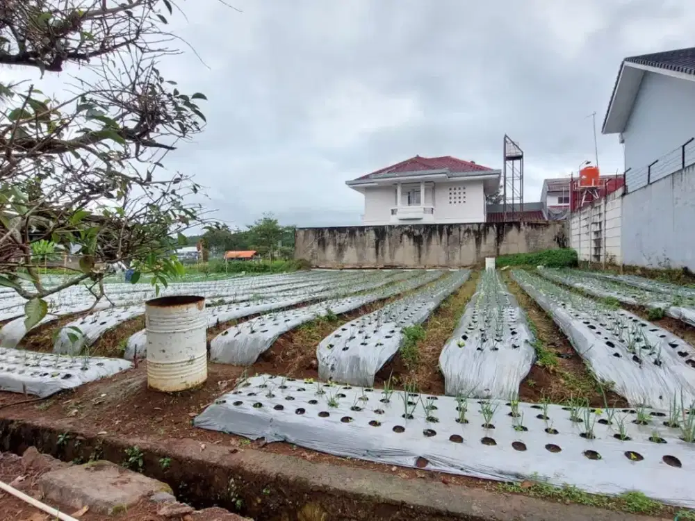 Dijual Tanah Kavling Lokasi Sejuk di Graha Puspa Lembang Bandung