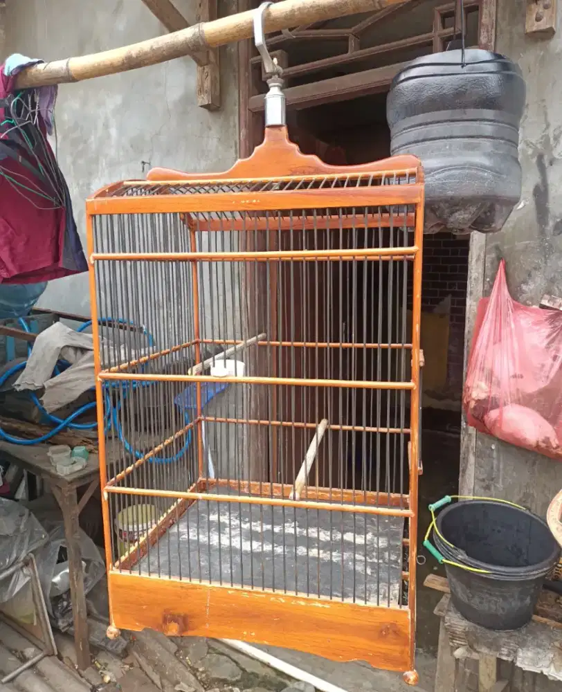 Kandang burung no3