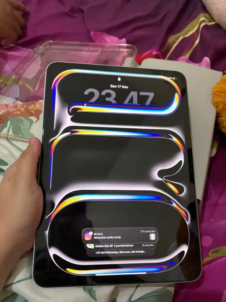 Ipad Pro M4 256 GB mulus