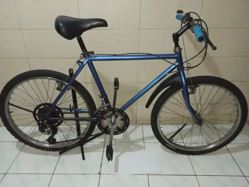 Sepeda vintage mirip federal