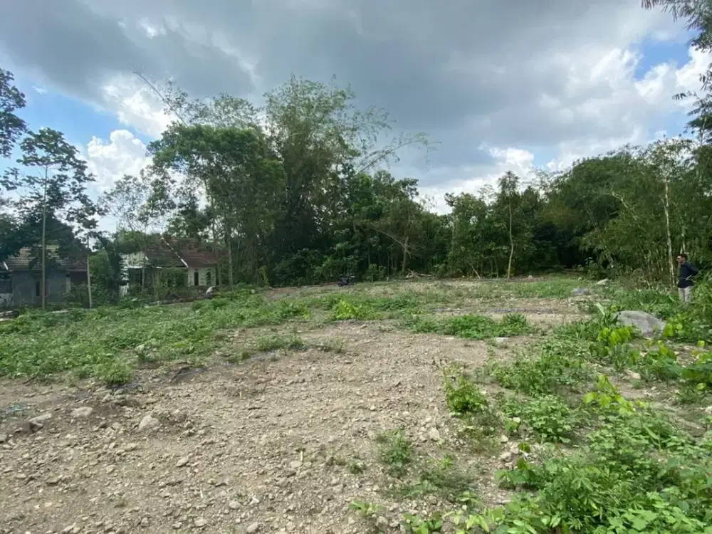 Peluang Investasi Emas, Kavling SHM Pekarangan Triharjo