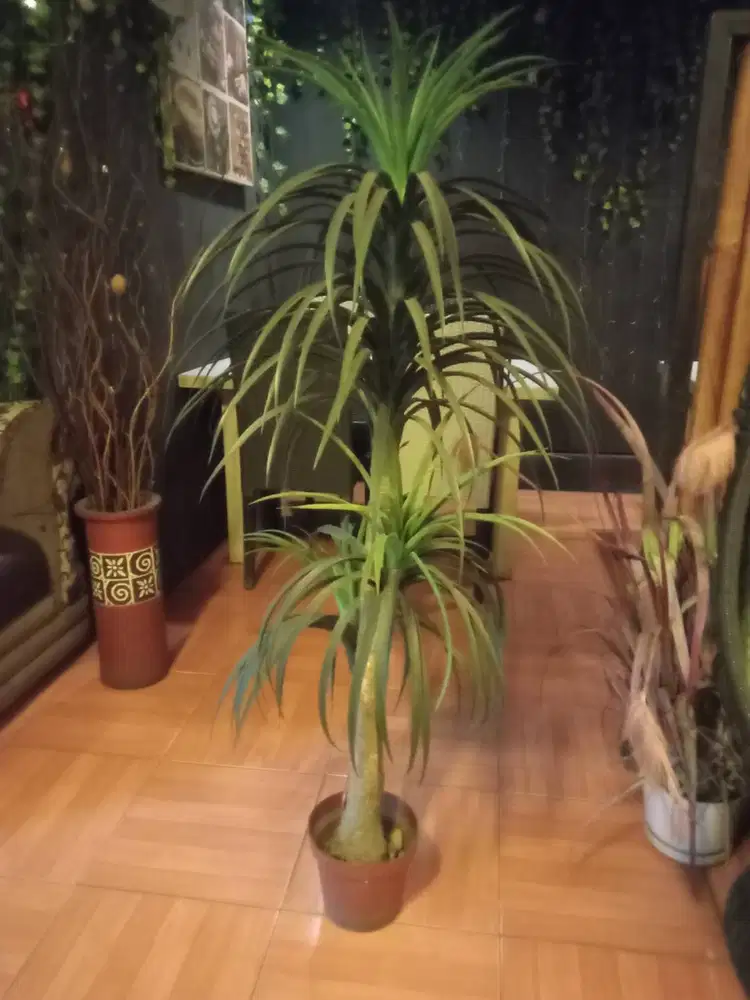 Tanaman daun hijau sintetis + pot