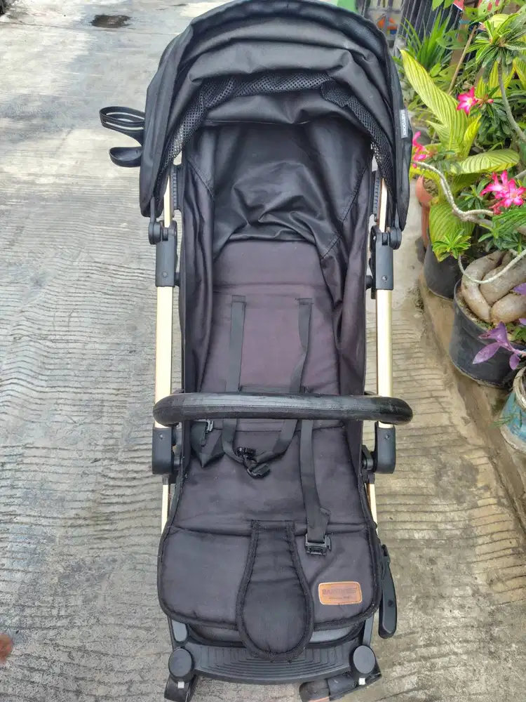 Stroller babydoes esmino gold