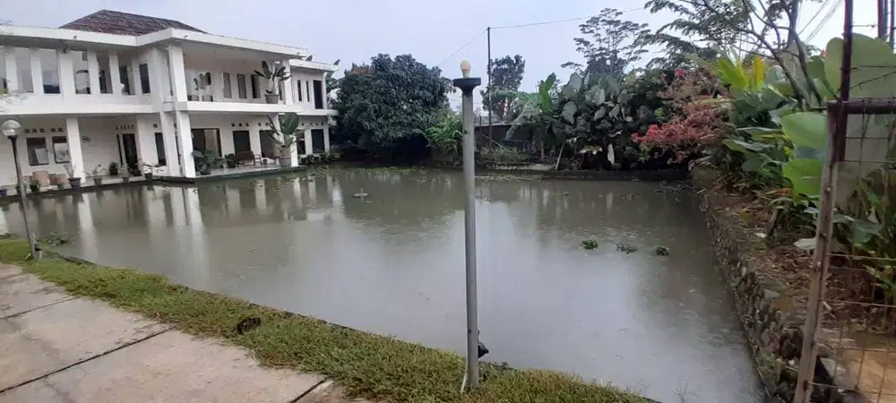 Rumah Mewah 2900m² Nuansa Alam  Cocok untuk Villa atau Usaha+Empang