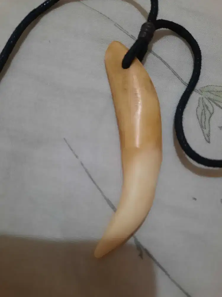 Kalung gigi taring asesoris pria kalung laki laki kalung pria