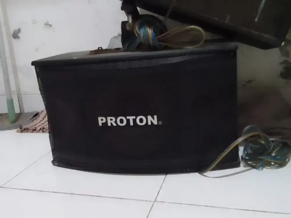 Speaker Karaoke Proton & Amplifier