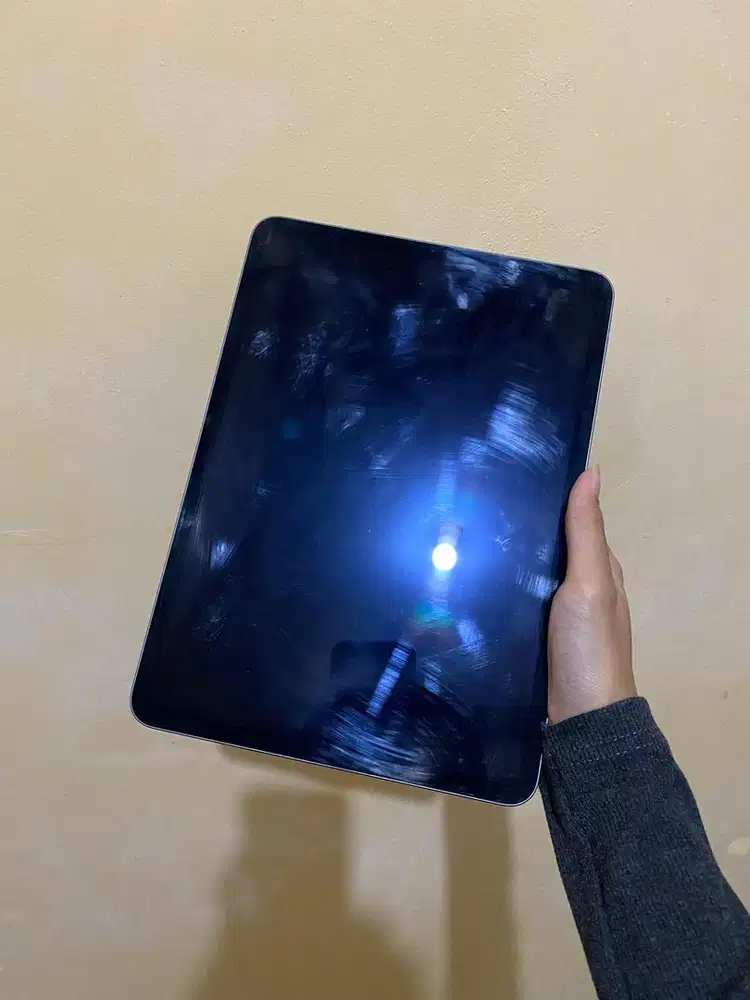Ipad pro 11 inch m2 4th gen 256gb wifi