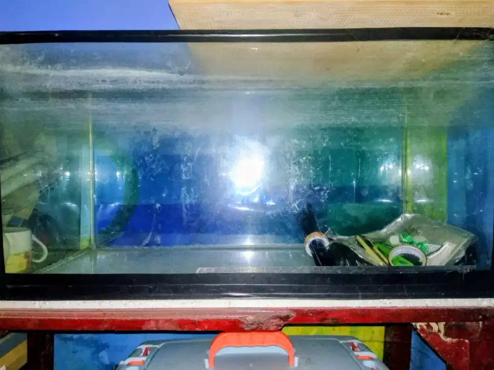 Aquarium Ikan Hias