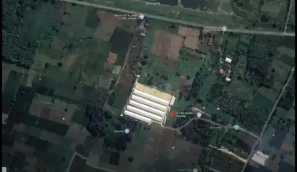 DIJUAL PETERNAKAN AYAM DI DESA BRANGSI LAMONGAN TINGGAL LANJUT USAHA