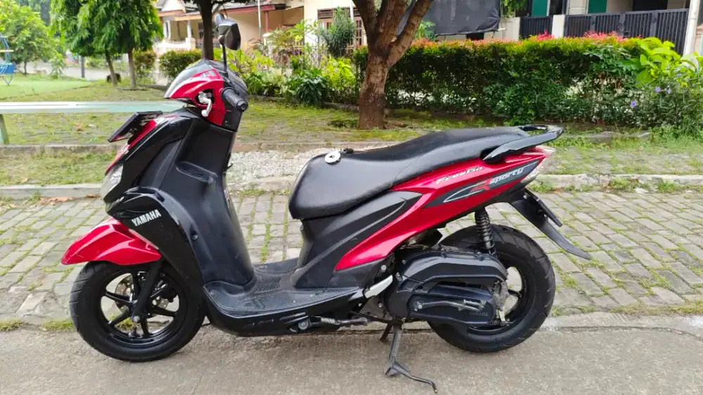 Freego 2019 PAJAK HIDUP BODY MULUS