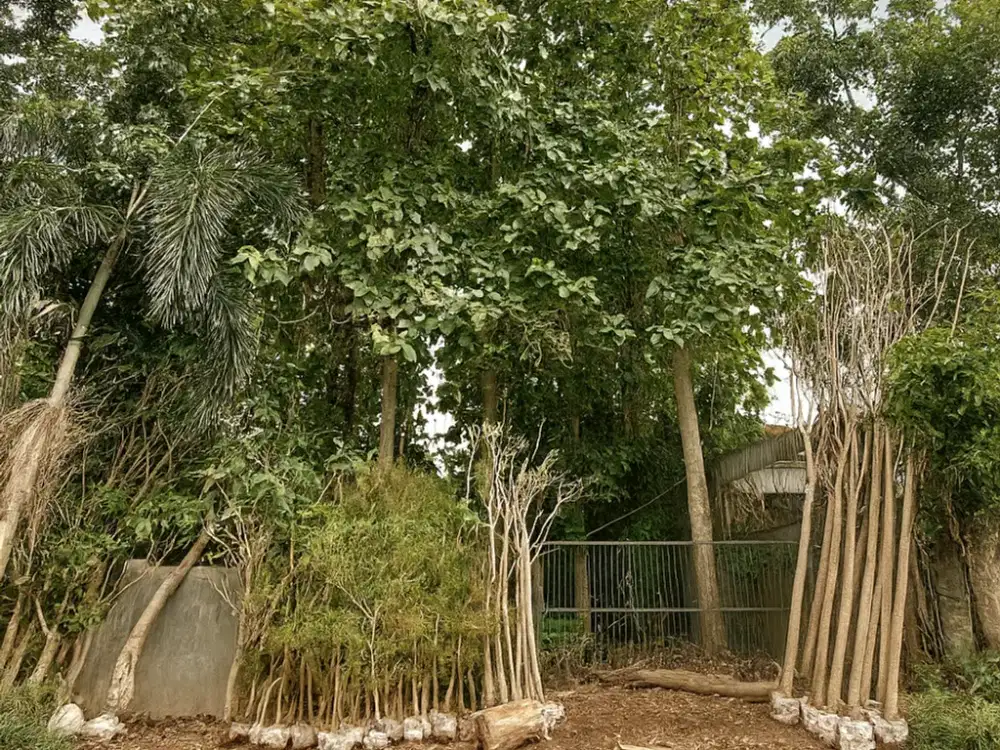 Tanah Meruya Utara Dijual. Siap bangun. MURAH & NEGO. Dlm Komplek