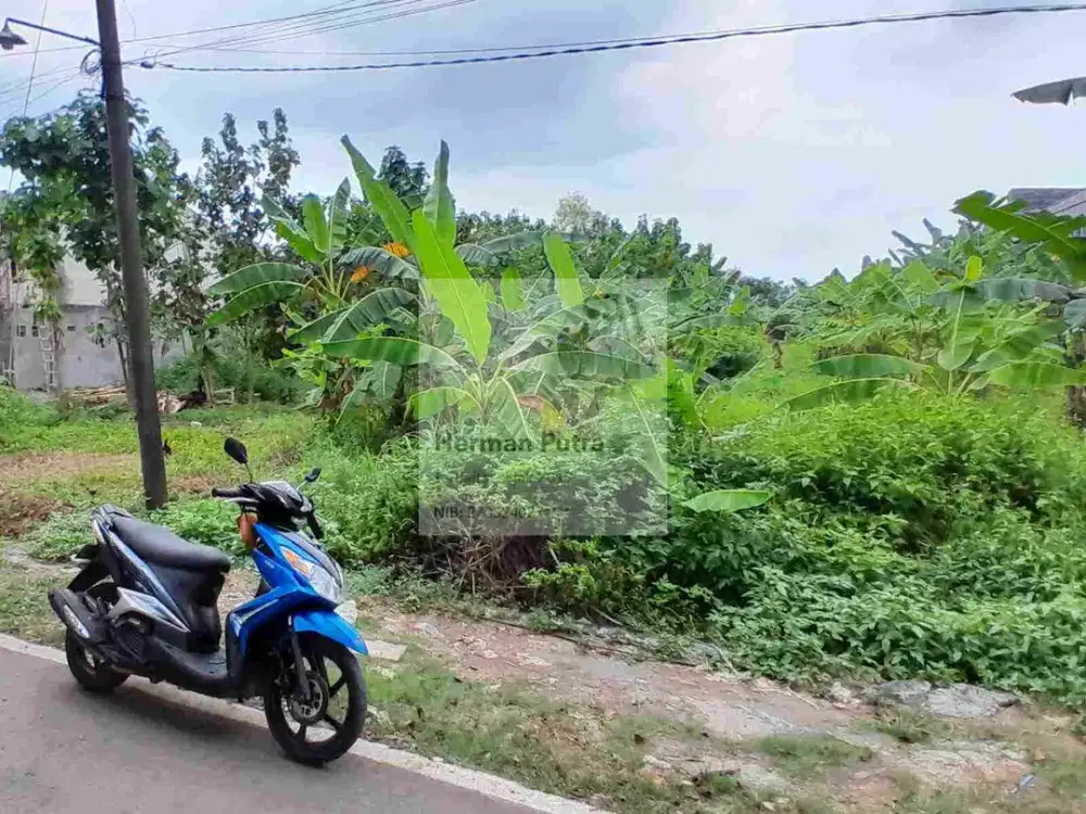 Tanah Tembalang Bulusan Utara Undip