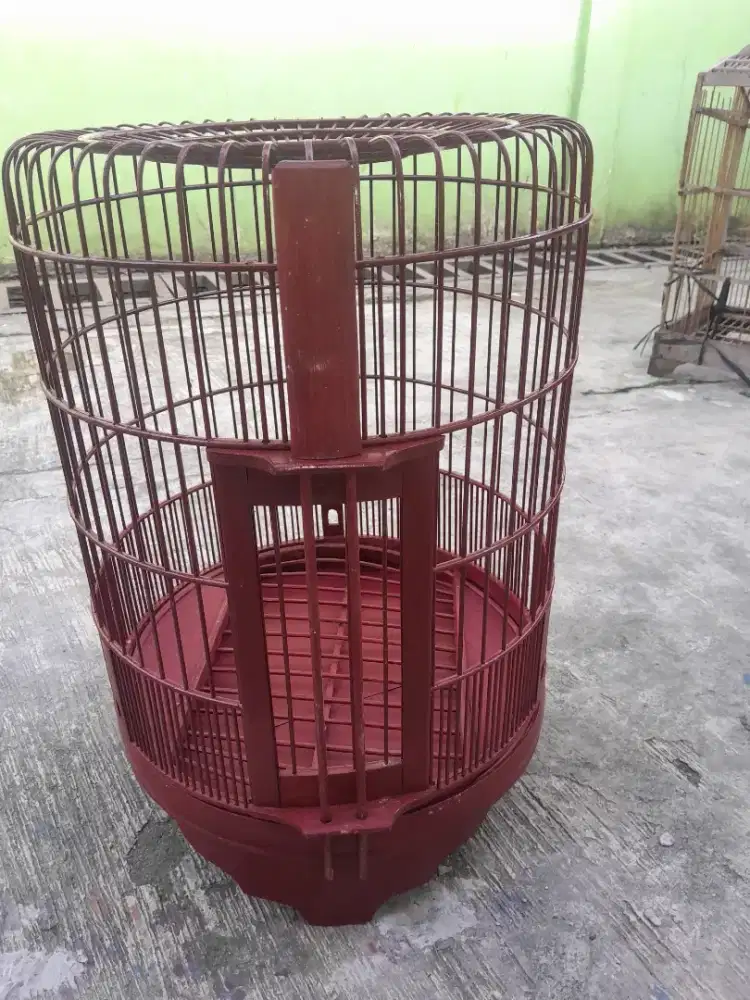 Kandang anis baru di cat belm di perniss