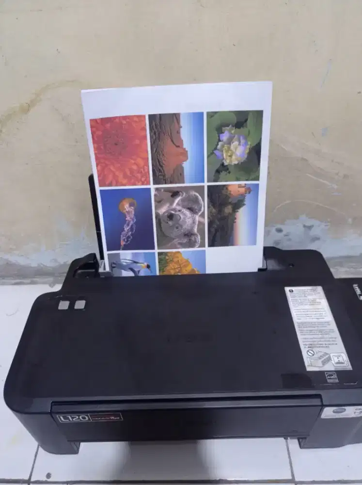 Printer epson l120