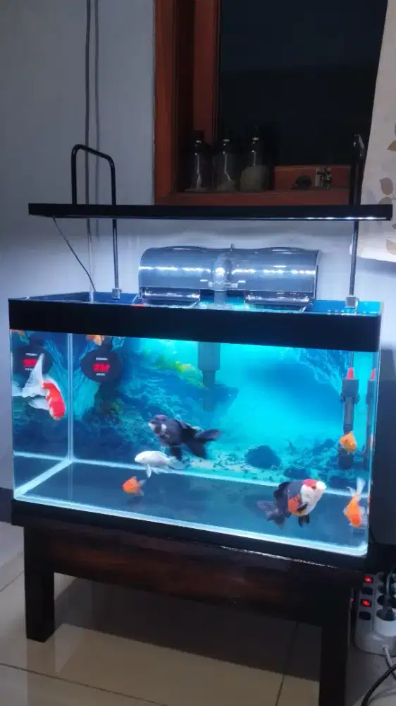 Aquarium ukuran 60x30x35 Bending (Tanpa Sambungan) plus meja jati