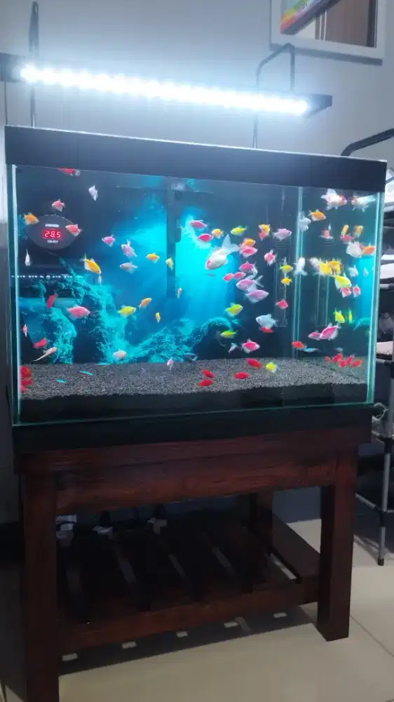 Aquarium plus meja ukuran 60x40x40 (custom) kaca 8mm