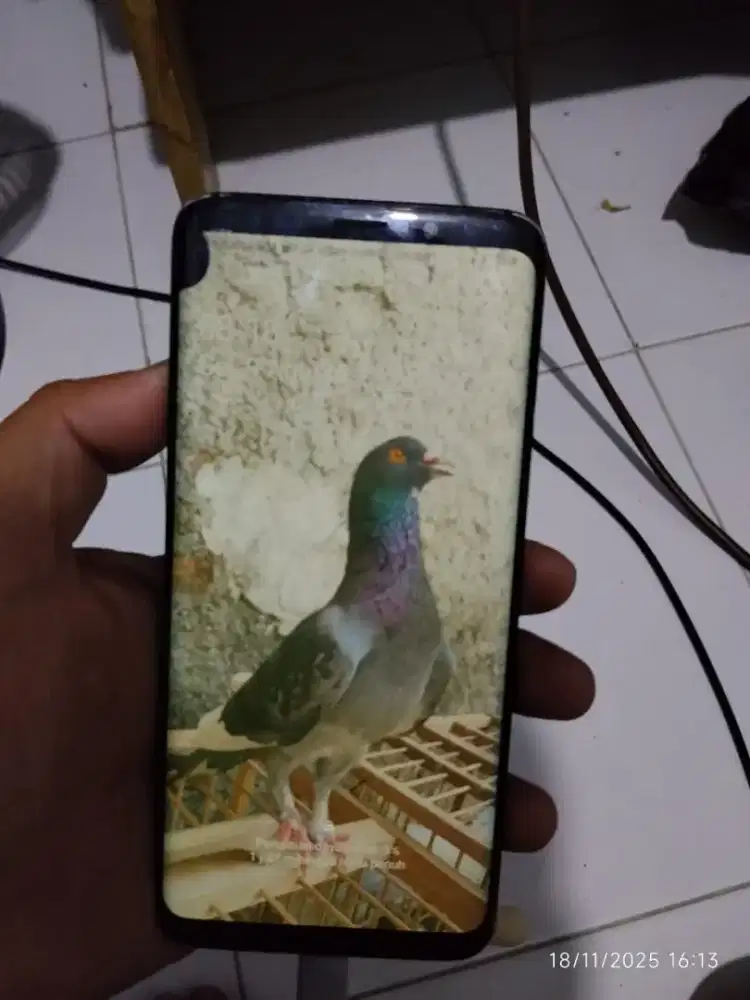 Samsung s9+ ram 6/64