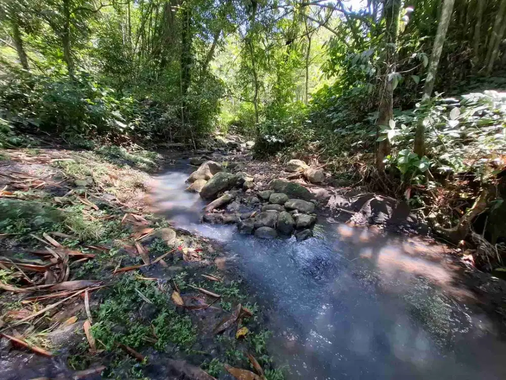 Dijual tanah los sungai murah di penebel tabanan bali