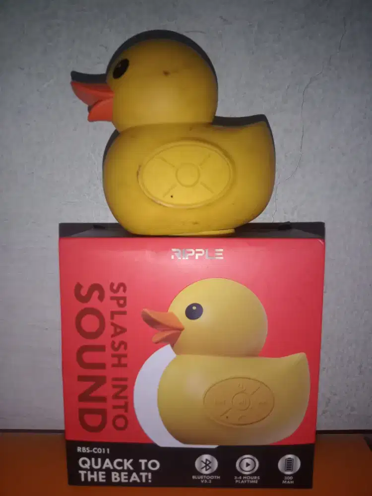 SPEAKER RIPLLE - HSC 2025