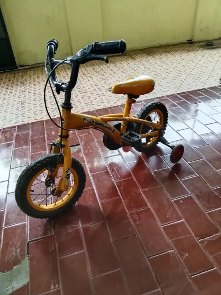 Sepeda Polygon badts maru
