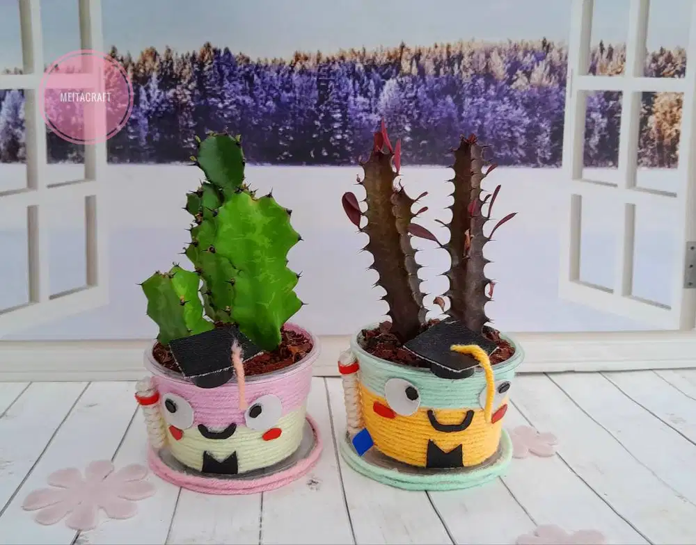 Paket Wisuda Kaktus Sukulen Lucu