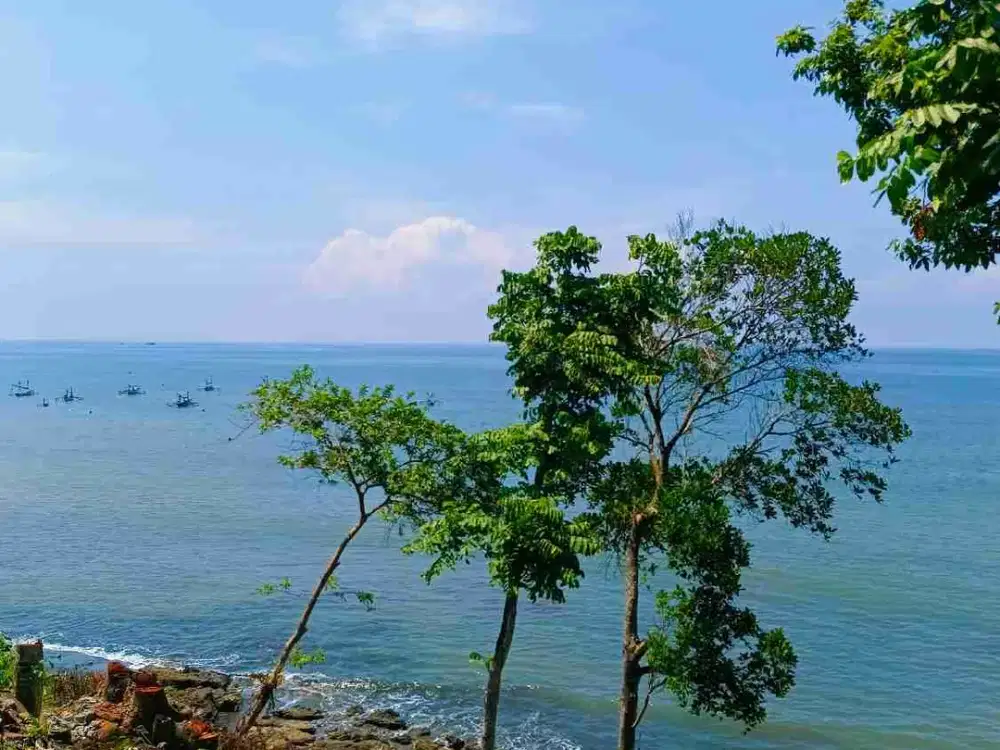 TANAH 4465m2 LOS PANTAI TEBING, DESA CUPEL JEMBRANA BALI